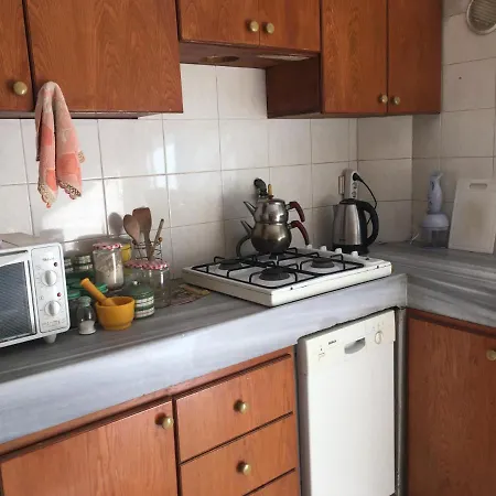 Entire Family Apartment -Historical City Bursa Apartament Nilufer
